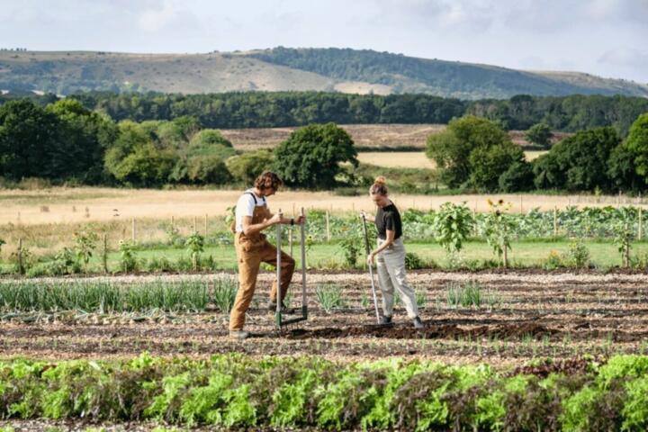 How Country Life Changes Daily Routines