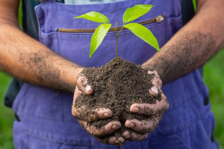Why Soil Health Comes Before Planting