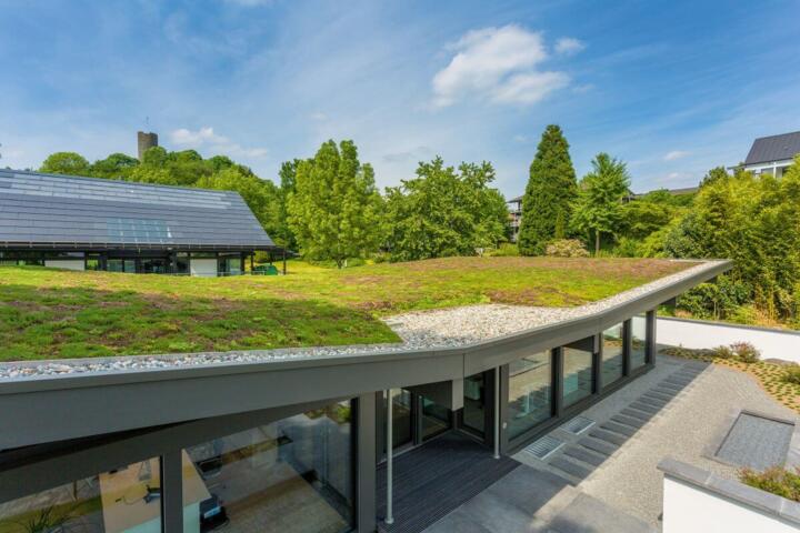 Flat Roofs for Green Living: Maintenance and Waterproofing Tips