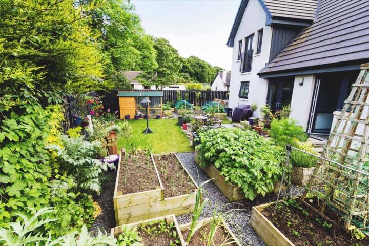 What is Different Between Rural and Suburban Living