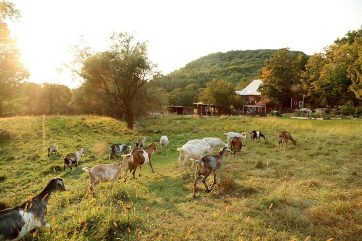 How Seasons Drive the Rhythm of Rural Life